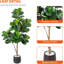 120cm Plant