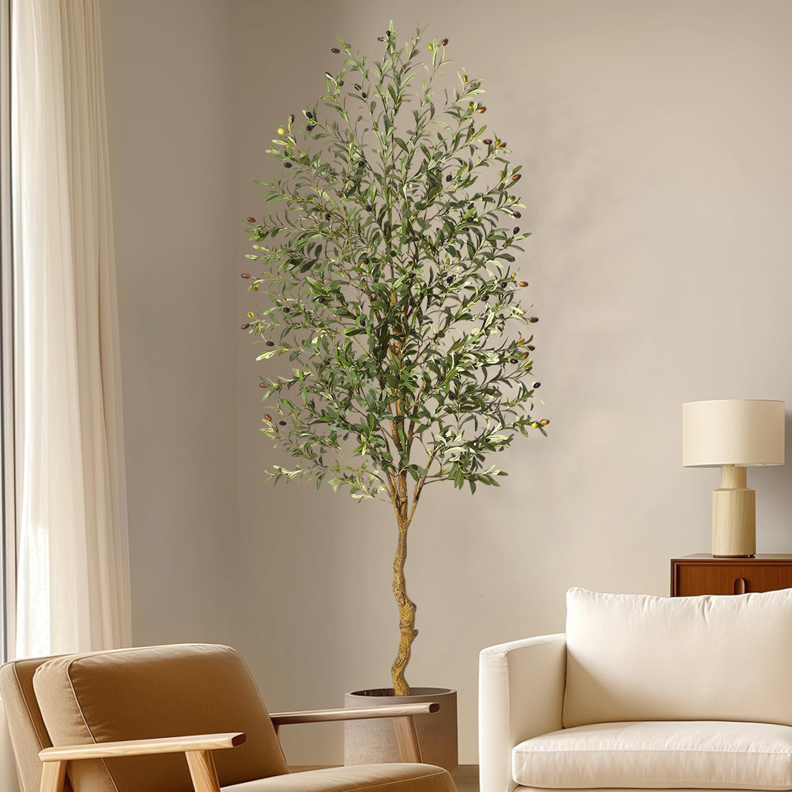 84" Olive Tree in Pot