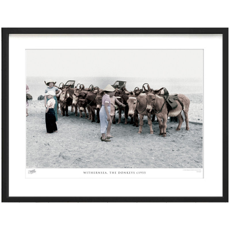 Withernsea, The Donkeys C1955 by Francis Frith - Single Picture Frame Print, 60cm H x 80cm W x 2.3cm D