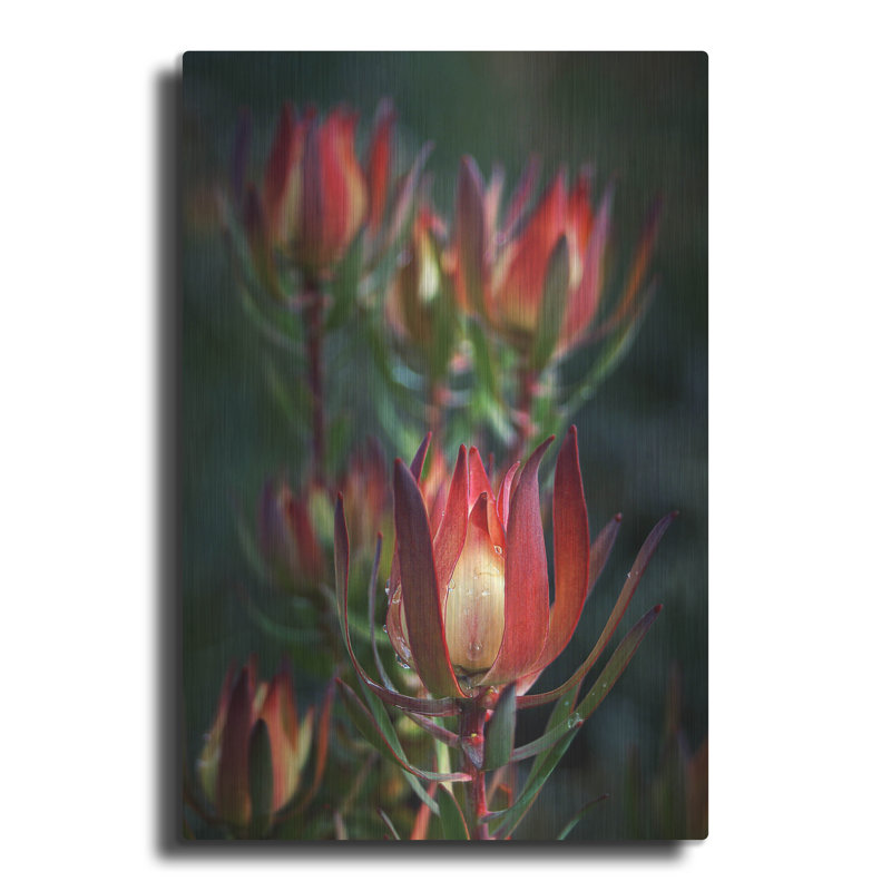 " Two " by SD Smart, 16" H x 12" W 