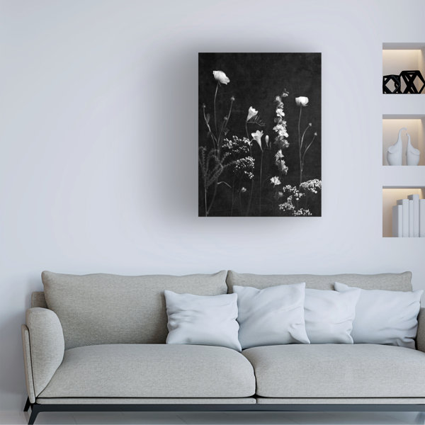 Winston Porter Floral Black And White Botanicals With Texture On Canvas ...