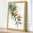 Ochre Border