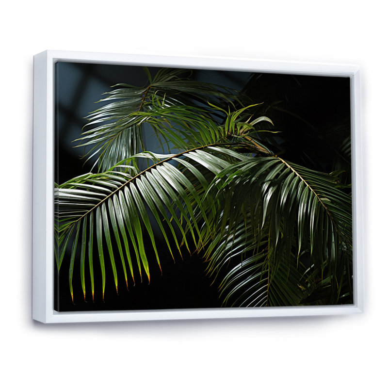 Palmiers symphonie I - impressions murales florales, H 30 po x l 40 po x P 1,5 po, Cadre flottant blanc