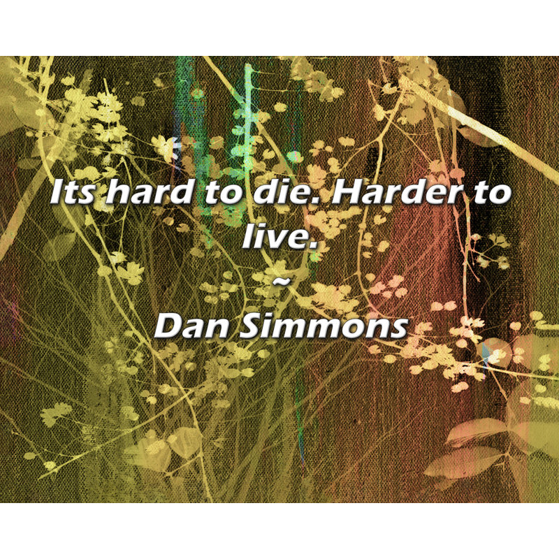 Citation de Dan Simmons: C'est difficile à perdre. Plus difficile à vivre., H 26 po x l 32 po