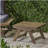 SEDONA SIDE TABLE-613779354