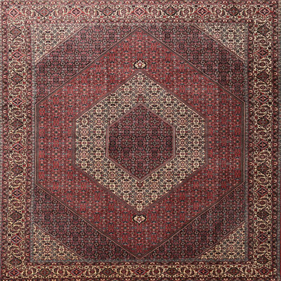 Tapis traditionnel rouge / brun Akbar
