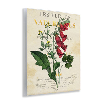 «Flower over Aged French Page», art par Susan Arnot