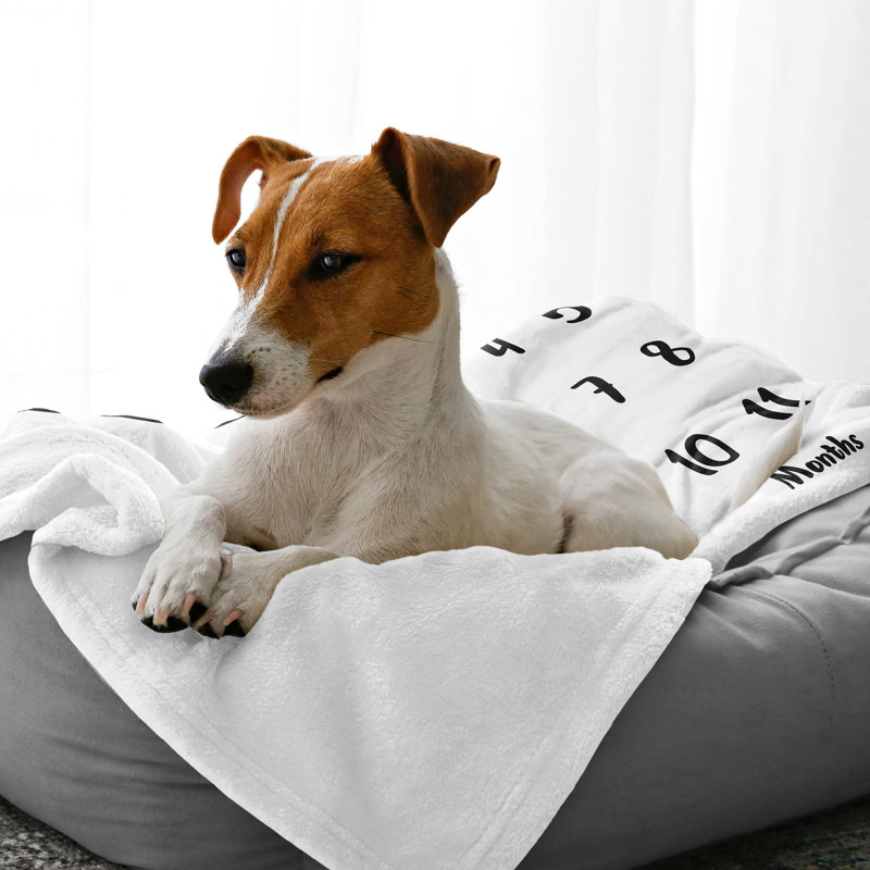 Accessoire de lit Dog Dog