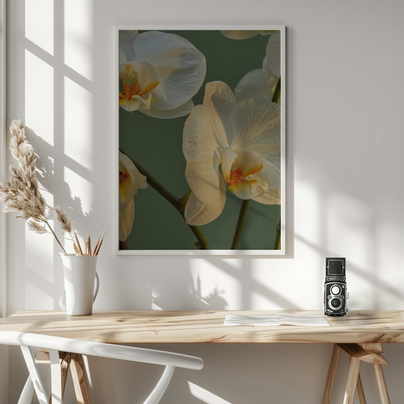 "Floral Haven", art mural texturé encadré, Blanc, H 24 po x l 18 po