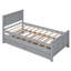 Lit plateforme avec lit gigogne et tiroirs-1884725802