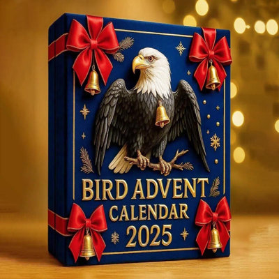 Advent Calendar 2025 24 Days Christmas Countdown Christmas Advent Calendar Acrylic 2D Hanging Decorations For Christmas Tree Holiday Gift