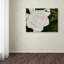 « gardenia », reproduction de photo sur toile tendue-21175369