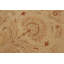 Tapis oriental en laine ivoire Aarav
