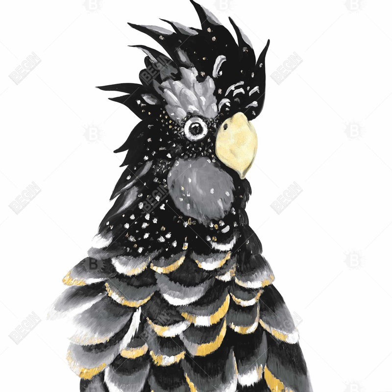 " Red-tailed Cockatoo Parrot "