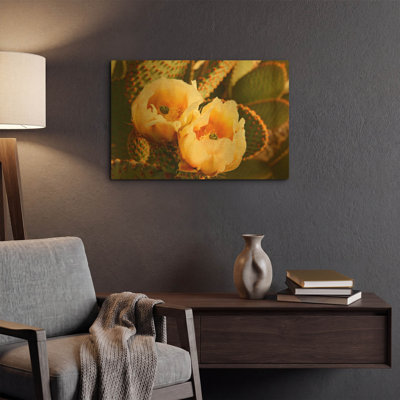 «Prickly Pear Cactus Blooms Az 8639» par Mike Jones, art mural en métal doré, 24 po x 16 po