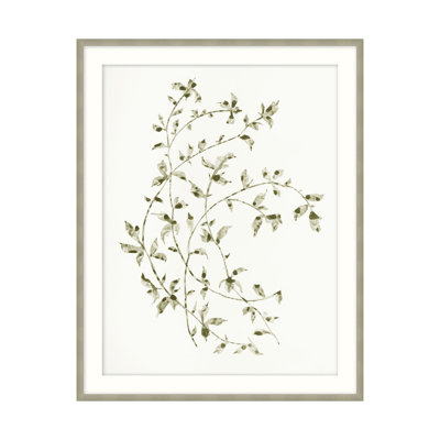 Leafy Vines 6 Print by Studio L57 Affinity