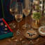 Zodiac Wine Charm Gift Set