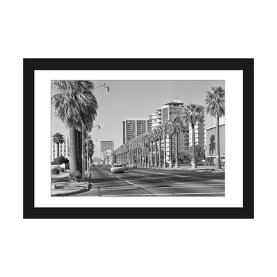 " 1960s Rows Of Palm Trees Central Avenue Phoenix Az USA "