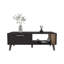 Table basse, 1 porte, 1 tablette
