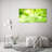 Chestnut Leaves - No Frame Print on Canvas