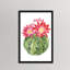 « cactus fleuri iii » par grace-pop, reproduction d’art-49904740-49904734