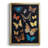" Collected Flutter IV "-851662921-851662968