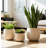 Planter Set Polyresin Carved Sculptural Design Decorative Indoor Outdoor Container Pots Contemporary Minimalist Style Durable Lightweight Construction Set Of 3-1874343074