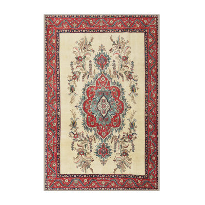 Oriental Indoor Rug