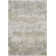 Avia Machine Woven Polyester/Polypropylene Area Rug in Gray/Beige