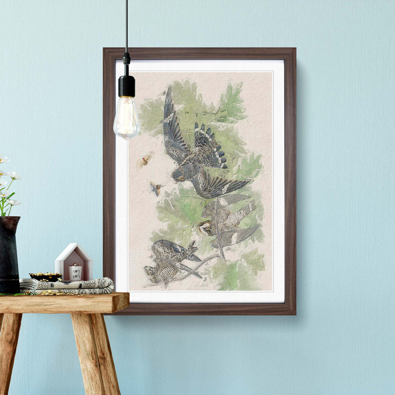 Night Hawks by John Audubon - Framed Print, Walnut Framed, 65cm H x 48cm W x 2cm D