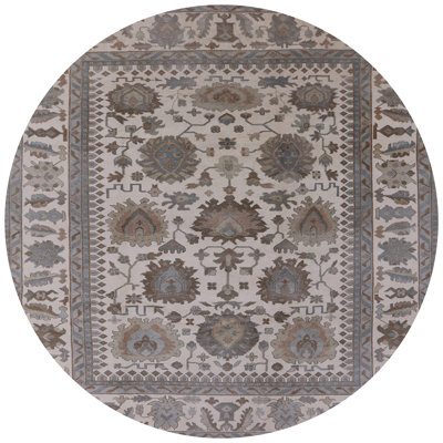 Arev Oriental Indoor Rug