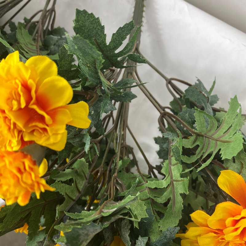 Marigold Bush, Or