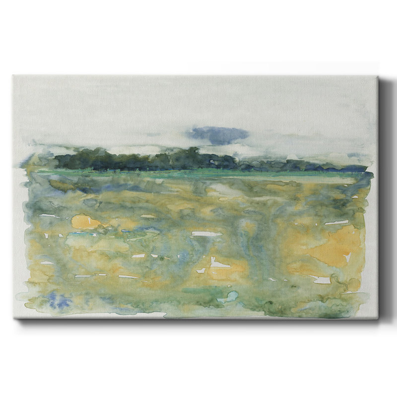Flowing Landscape II-Gallery Wrapped Canvas, 32" H x 48" W