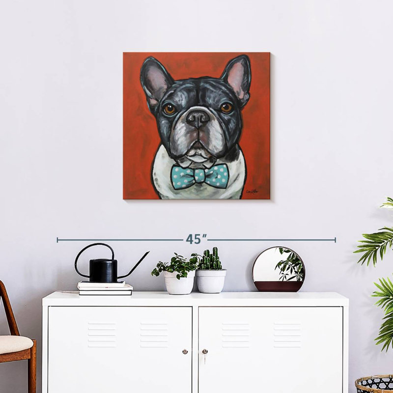 Crowle Frenchie Louie, H 24 po x l 24 po