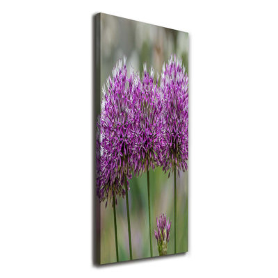 Garlic Flowers - Wrapped Canvas Print