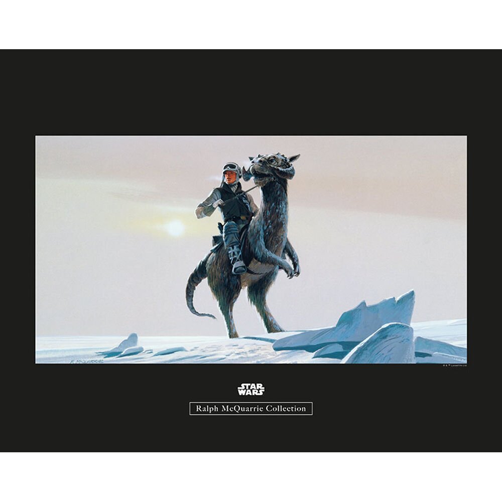 Poster Star Wars Rmq Hoth Tauntaun