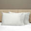 Raffaello Sateen Pillow Case-47958242-36504360