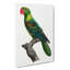 Great-Billed Parrot by F. Levaillant - Wrapped Canvas Painting-55359596