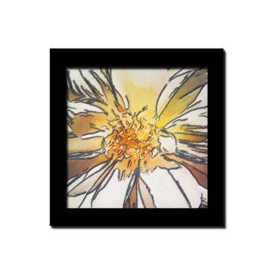 Daisy Daze par Hal Halli. Impression sur papier - Montée et encadrée avec de l'acrylique transparent, taille de l'image