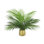 Outdoor UV Rated Palm in Fiberstone Pot