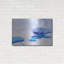«Drink Splash 2» par Gordon Semmens-1955678641