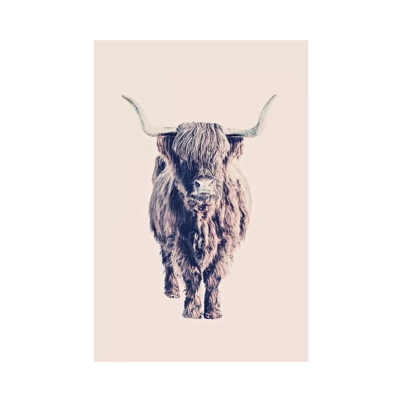 Highland Cattle Colin Rose 1 Piece Wrapped Canvas Wall Art, 66.04 cm H x 45.72 cm W x 3.175 cm D