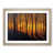 Oak Framed selected