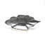 Foglia Glass Decorative Tray-159734303