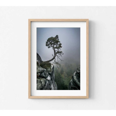 Reproduction d'art «Lone Tree on Cliff», Misty Forest View