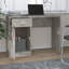 Sneyd Park Computer Desk-81269031