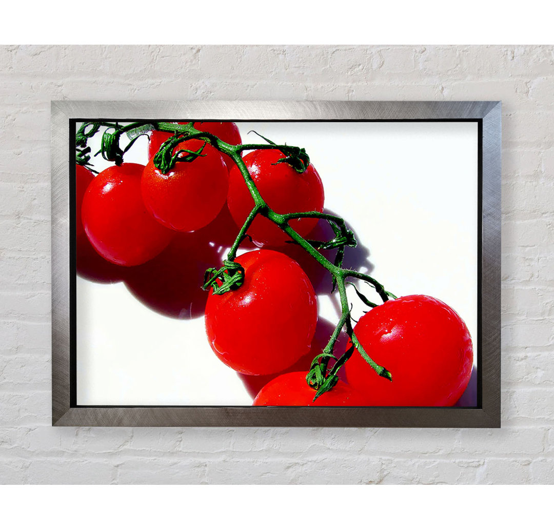 Cherry Tomato Vine - Einzelner Bilderrahmen Kunstdrucke