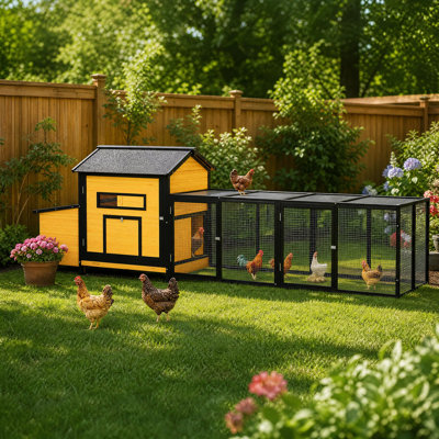 Chicken Coop