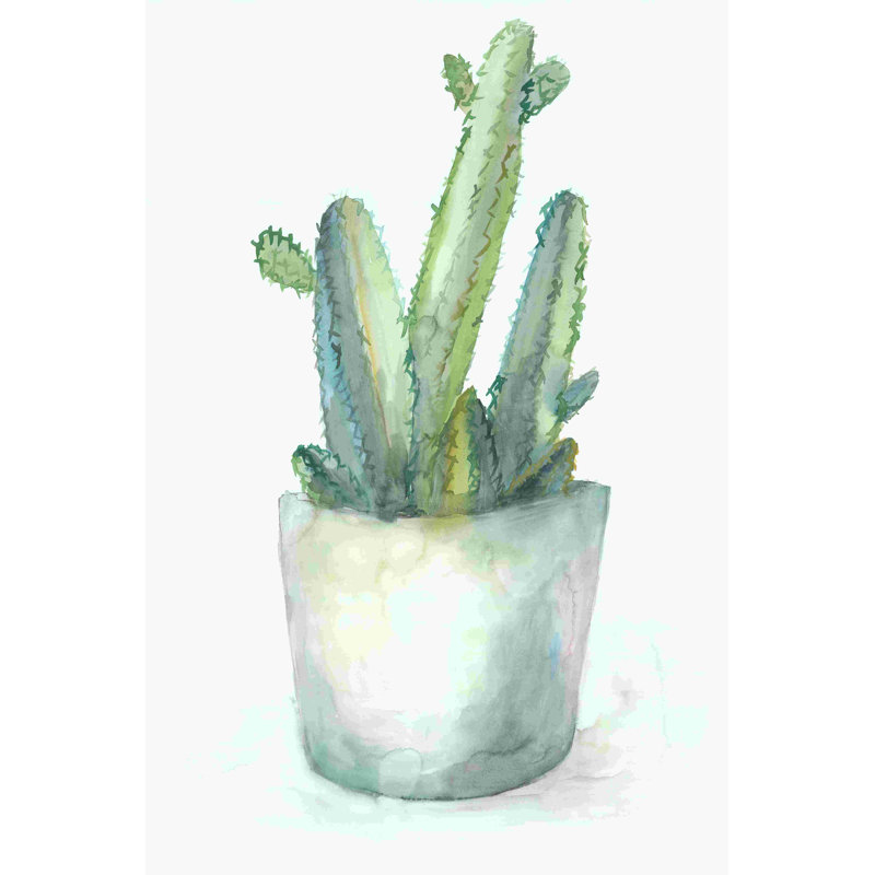 Potted Cactus - Wrapped Canvas Print, 36" H x 24" W  