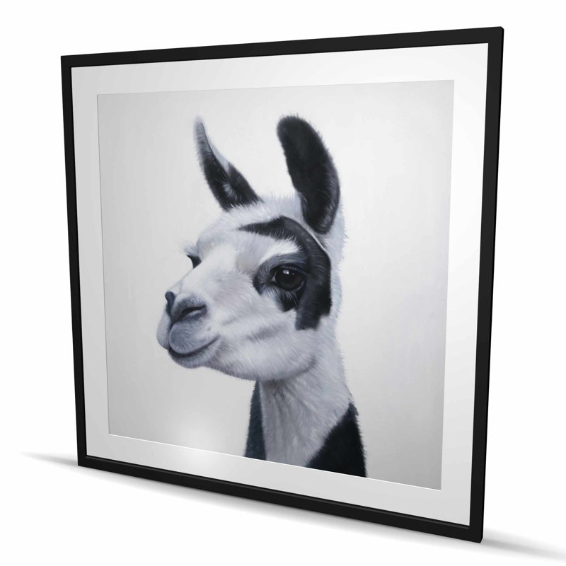 Lama noir et blanc - reproduction encadrée pour la décoration intérieure